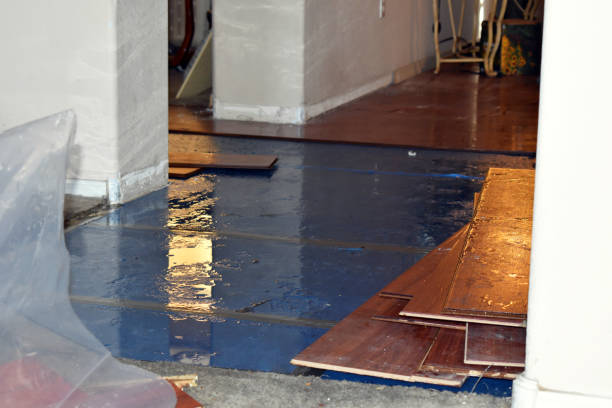 Professional Basement Water Removal technician working in Decker, MI