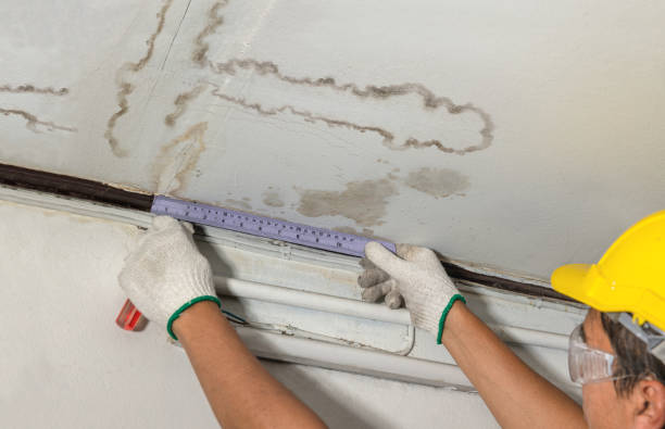 Reliable Basement Water Removal contractor in Decker, MI by Water Damage Irwin
